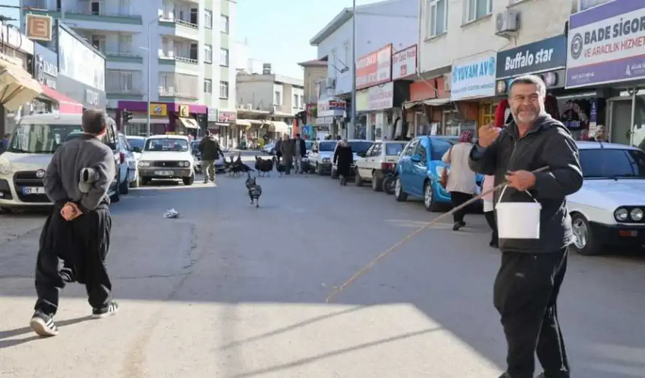 Adana’da Alışılmadık Pazar: Cadde Cadde Gezen Hindiler Görücüye Çıkıyor! 2